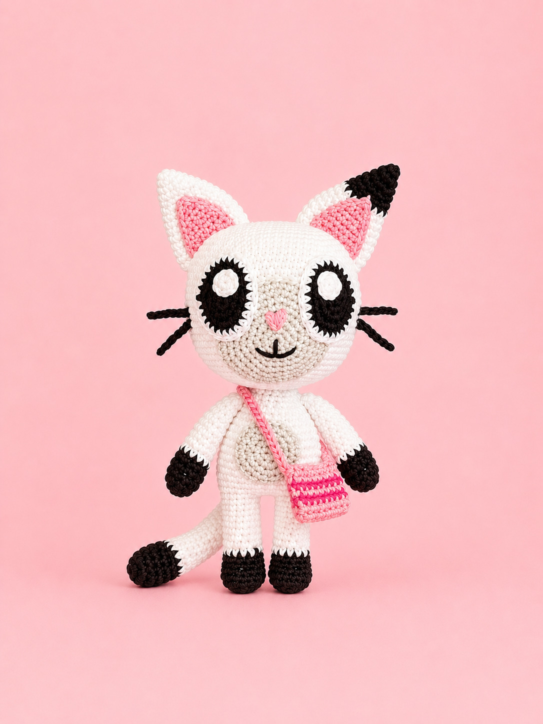 Pandy Pattes