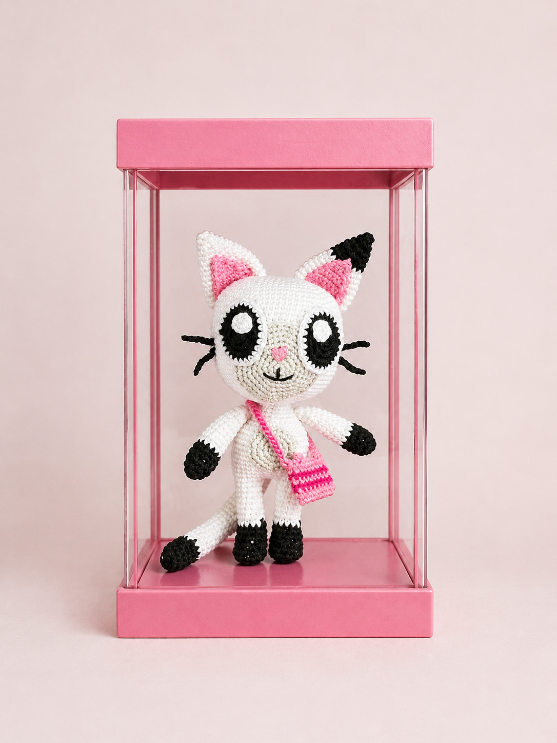 Pandy Patte